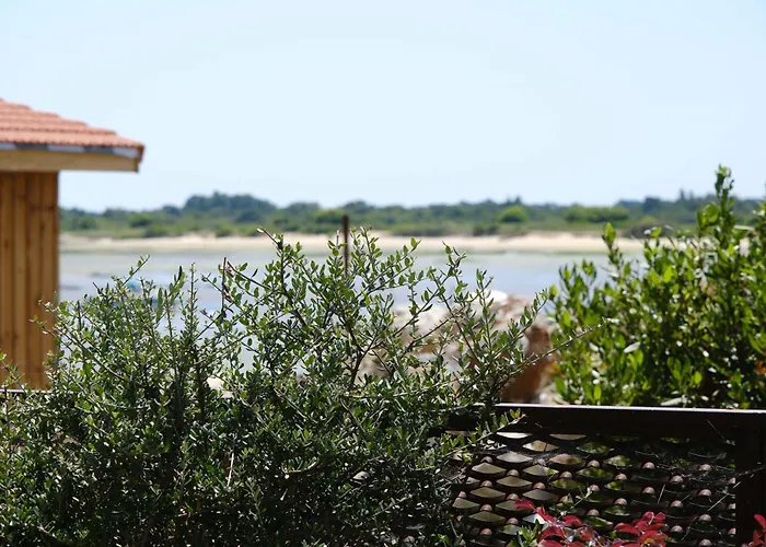 Corten - Archik - Sentier Du Littoral Arcachon