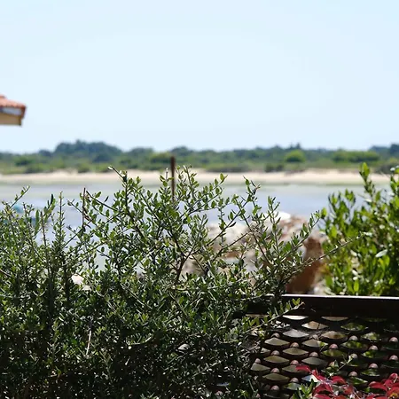 Corten - Archik - Sentier Du Littoral Arcachon